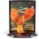 Noble Collection Harry Potter Figura Fawkes al Rescate