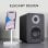 Vulkkano A4 Enceintes de monitoring actives Bluetooth 50W Marron