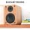 Vulkkano A4 ARC Altavoces de Monitorización Activos Bluetooth 50W Marrones
