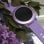 Forever Colorum CW-300 Reloj Smartwatch Morado