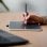 Wacom One M Tableta Digital USB-C/Bluetooth