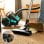 Cecotec Conga Rockstar Multicyclonic XL Animal Aspirador Trenó Sem Saco 800W 4L