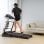 FITFIU Fitness MC-400 Cinta de Correr Plegable 20km/h 2000W