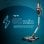 Cecotec Conga Rockstar 1500 Ray Ergowet Animal Aspirador Escoba/Mano sin Cables 33.6V 215W