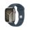 Apple Watch Series 9 GPS + Cellular 45mm Retina OLED Argent/Bleu M/L 4G IP6X SpO2 Pulsomètre