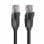 Vention Cable de Conexión Cat 6 UTP 5m Negro