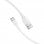 Vention CTHWF Cable USB 2.0 Tipo-A Macho a USB Tipo-C Macho 1m Blanco