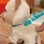 Hasbro Original Furreal Friends Gatita Walkalots Mascota Maxi Paseos