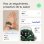 Withings Scanwatch Horizon Smartwatch 43mm Verde
