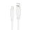 Câble USB Nanocable 10.01.4001-L150-W USB-C vers USB-A 1,5 m 10 Gbps 3A Blanc