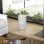 Levoit Core 300S Plus Smart Luftreiniger