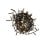 Muvit iO Guirlande Décorative WiFi RVB 20m/200 LED