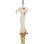 Nemesis Now Harry Potter Adorno para Colgar Varita Mágica Voldemort 15.5cm Crema