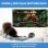 Projetor Seelumen S600 FullHD 10000 Lúmenes 130" LED LCD AndroidTV Portátil Tripé