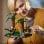 Lego Star Wars Diorama: Speeder-Duell auf Endor