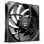 be quiet! Pure Wings 3 140mm PWM high-speed Boitier PC Ventilateur 14 cm Noir 1 pièce(s)