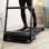 Cecotec Drumfit Wayhome 1400 Sprint Laufband Einstellbare Geschwindigkeit 14Km/h