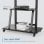 Ewent EW1544 Bodenständer für 37-100-Zoll-Fernseher, VESA 200 x 200/800 x 800, Schwarz
