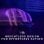 Souris de jeu Glorious Model O 2 RGB 26 000 DPI noire