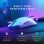 Glorious Model O 2 Rato Gaming RGB 26000DPI Branco