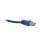 Gembird Cable de Red UTP Cat 5e 0,5m Azul