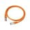Gembird Cable de Red UTP Cat 5e 1m Naranja