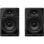 Pioneer DJ DM-50D Altavoces de Monitor de 5'' Negro