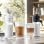 DeLonghi Eletta Explore ECAM450.65.G Máquina de Café Automática com Moinho 19 Bar Cinzenta Escura
