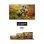 Thomson 43FA2S13 43" LED FullHD Android TV
