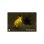 Monoculaire Thermique 1300 M Chasse 35 Mm + Télémètre + Coffret Cadeau
