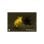 Monoculaire Thermique 1800 M Chasse 54 Mm + Télémètre + Garantie 5 Ans + Coffret Cadeau