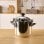 Panela de Pressão Taurus Classic Moments Inox 4L
