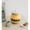 Erik Herausgeber, Snoopy-Galerie