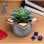Paladone Bleistift und Blumentopf Stranger Things Demogorgon