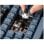 Keychron V1 QMK Teclado Mecânico Fully Assembled Knob Frosted Black K Pro Brown