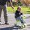 InnovaGoods Scuvol Patinete Evolutivo para Niños Verde