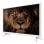 Nevir NVR-7710-24RD2-B 24" LED HD Ready