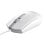 Trust TM-101 Mouse USB 1200 DPI Bianco