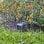 Gardena Sensor de Humedad del Suelo Inteligente para Sistema Smart de Gardena