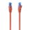 Aisens A135-0788 Cable de Red RJ45 AWG26 CCA UTP Cat 6 75cm Rojo