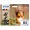 Epson Squirrel Multipack 6 colori 378XL / 478XL Inchiostri Claria Photo HD