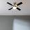 Ventilatore da soffitto Cecotec EnergySilence Aero 450 Ironblack 50W 42" con luce