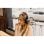 Edifier W800BT Plus Auriculares Inalámbricos Bluetooth Negros