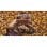 Edifier MP230 Marron