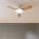 Ventilateur de plafond Cecotec EnergySilence Aero 5200 Light Whitewood DC 43" LED