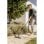 Kärcher WD 3 V-17/4/20 Aspiradora para Sólidos y Líquidos 1000W 17L