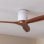 Ventilatore da soffitto Cecotec EnergySilence Aero 5500 Aqua Whitedarkwood 40W Wi-Fi IP44