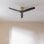 Cecotec Energysilence Aero 5500 Aqua Goldblack Ventilateur de Plafond Connecté avec Wi-Fi 40W Noir