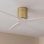 Deckenventilator Cecotec Energysilence Aero 5500 Aqua Goldwhite 40W WLAN IP44 132cm