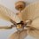 Ventoinha de Teto Cecotec EnergySilence Aero 5200 Natural Palm 50" DC 42W 5 Pás Control Remoto